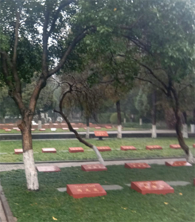 1648891822452022129.png 副5.png